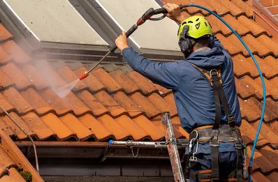 Démoussage et hydrofuge de toiture à Viriville